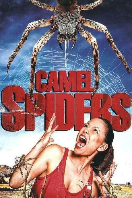 Camel Spiders
